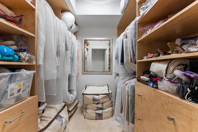 550 SE Mizner Blvd Unit B206, Boca Raton, FL 33432 - view of spacious closet