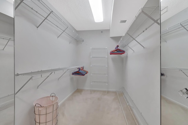 5876 Regal Glen Dr Unit 103, Boynton Beach, FL 33437 - spacious closet featuring carpet floors