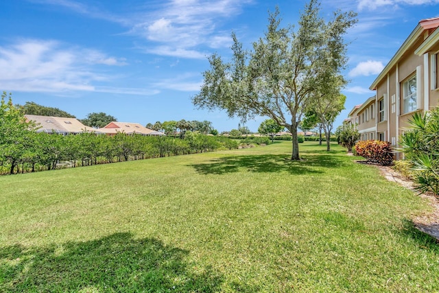 5876 Regal Glen Dr Unit 103, Boynton Beach, FL 33437 - view of green lawn