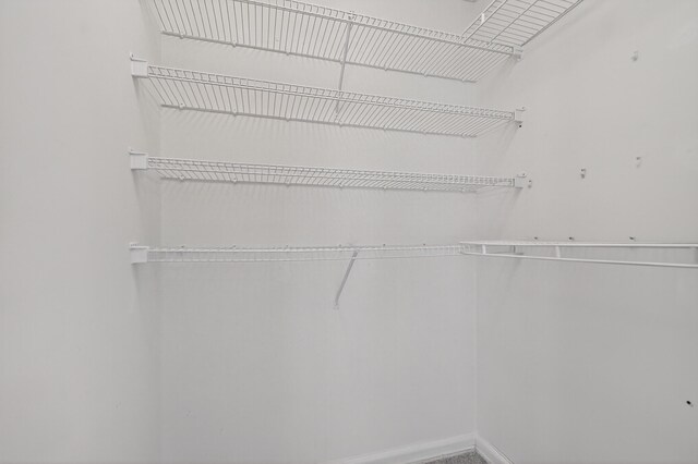 2703 Maplewood Dr, Greenacres, FL 33415 - view of walk in closet