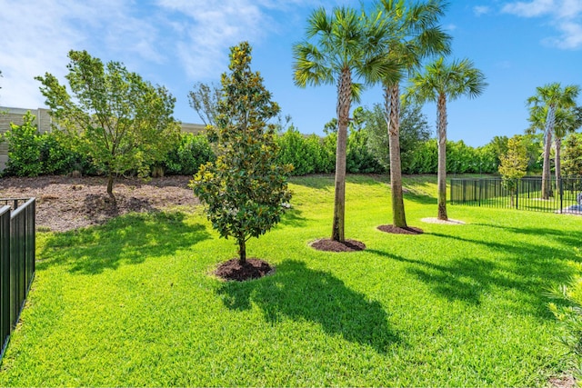 4858 Blistering Way, Lake Worth, FL 33467 - view of yard