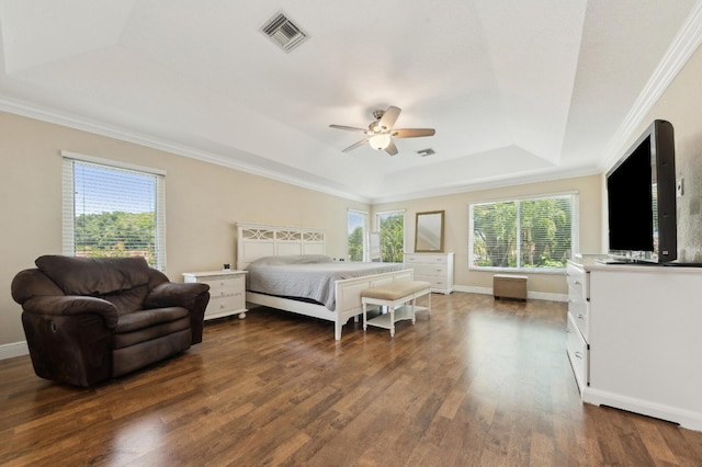 7969 Heavener Ct, Lake Worth, FL 33467 - bedroom with a raised ceiling, multiple windows, dark wood-style flooring, crown molding, and baseboards