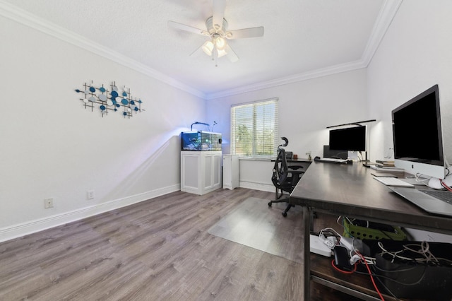 7969 Heavener Ct, Lake Worth, FL 33467 - office with wood finished floors, ornamental molding, ceiling fan, and baseboards