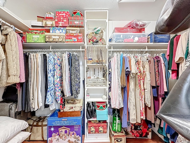 3622 Citrus Trce Unit 2, Davie, FL 33328 - view of walk in closet