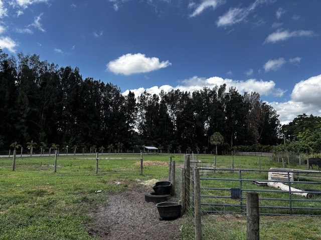 1210 Hartman Rd, Fort Pierce, FL 34947 - view of yard with a rural view