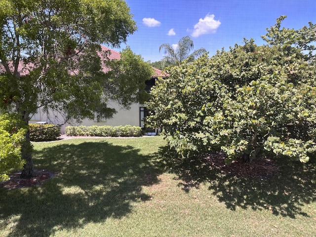301 SW S River Dr Unit 206, Stuart, FL 34997 - view of green lawn