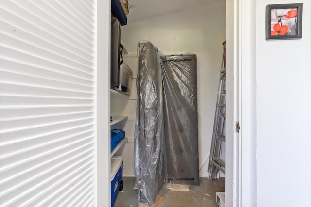 2822 Crosley Dr W Unit D, West Palm Beach, FL 33415 - view of spacious closet