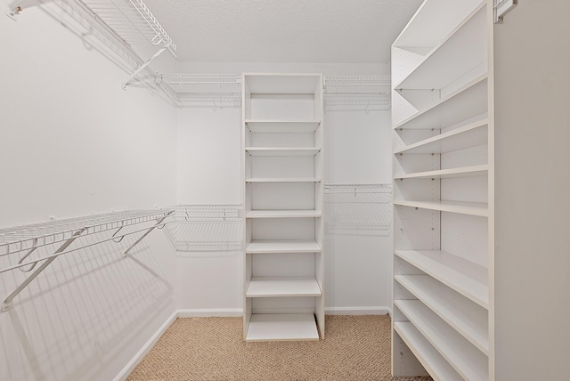 2590 Monaco Ter, Palm Beach Gardens, FL 33410 - spacious closet with carpet floors