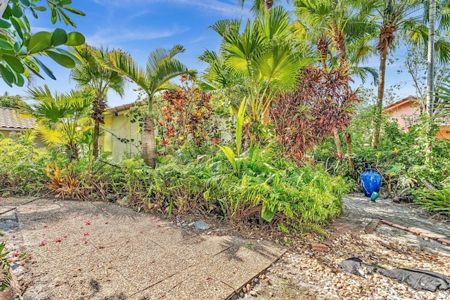 498 Oregon Ln, Boca Raton, FL 33487 - view of yard