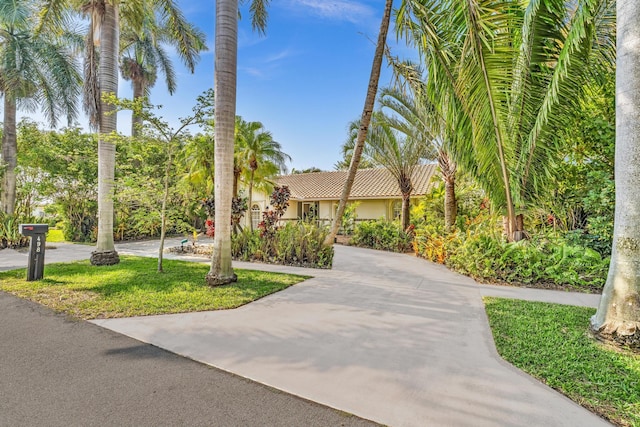 498 Oregon Ln, Boca Raton, FL 33487 - obstructed view of property featuring curved driveway, stucco siding, and a tiled roof