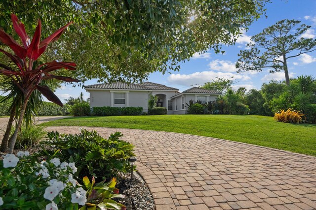 1936 SW Wood Duck Ln, Palm City, FL 34990 - view of front of property with a front lawn, stucco siding, and curved driveway