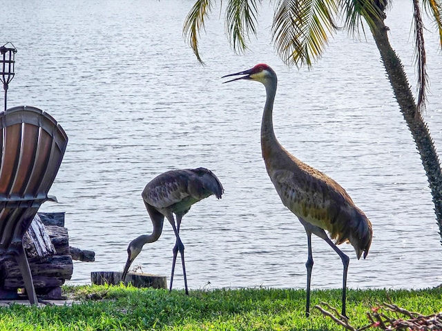 1936 SW Wood Duck Ln, Palm City, FL 34990 - water view