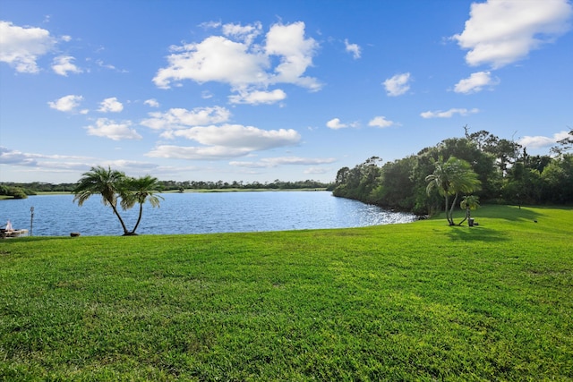 1936 SW Wood Duck Ln, Palm City, FL 34990 - water view