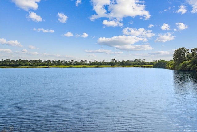 1936 SW Wood Duck Ln, Palm City, FL 34990 - water view