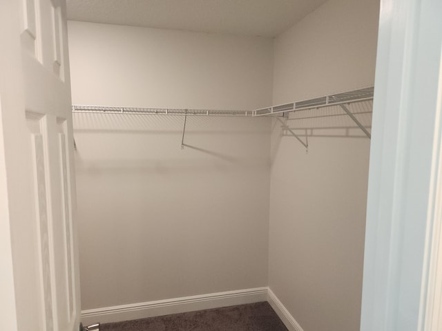 1721 SE Biddle Ln, Port Saint Lucie, FL 34983 - spacious closet with carpet