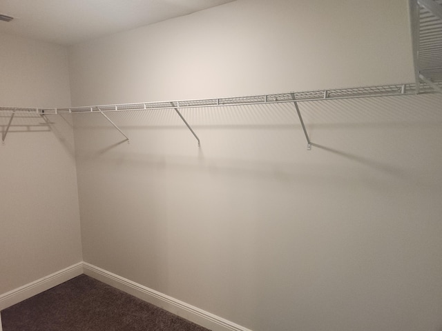1721 SE Biddle Ln, Port Saint Lucie, FL 34983 - walk in closet with dark carpet