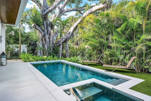 775 Park Dr W, Boca Raton, FL 33432 - swimming pool featuring an in-ground hot tub