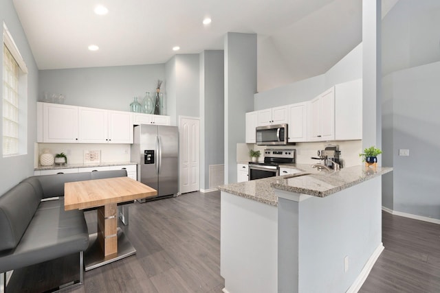 3288 SW Majestic Ct, Palm City, FL 34990 - kitchen with stainless steel appliances, high vaulted ceiling, light stone counters, dark wood-style flooring, and a peninsula