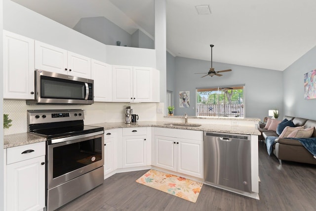 3288 SW Majestic Ct, Palm City, FL 34990 - kitchen featuring appliances with stainless steel finishes, a sink, open floor plan, decorative backsplash, and a ceiling fan