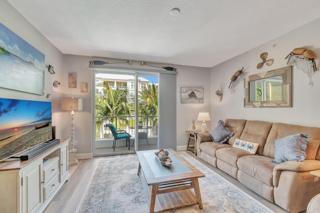 804 E Windward Way Unit 404, Lantana, FL 33462 - living room with light wood-style flooring and baseboards