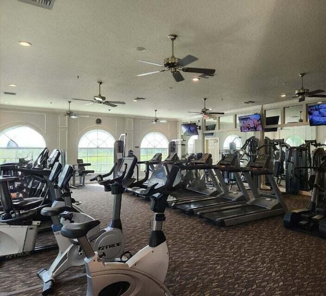 415 NW Granville St, Port Saint Lucie, FL 34986 - workout area featuring a ceiling fan, carpet flooring, and a textured ceiling