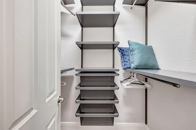 8271 Canopy Ter, Parkland, FL 33076 - view of walk in closet