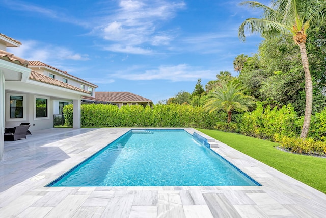 8271 Canopy Ter, Parkland, FL 33076 - outdoor pool featuring a patio area and a lawn