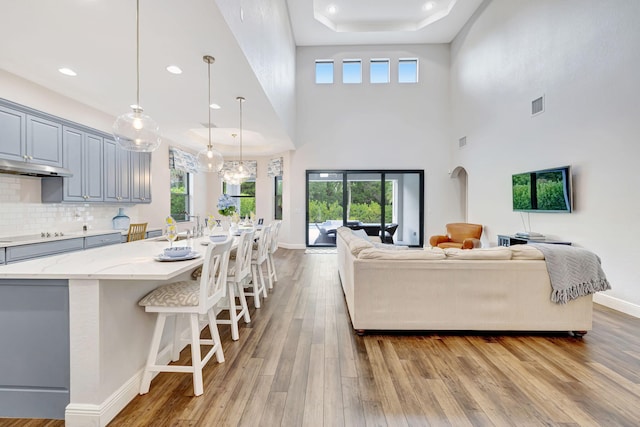 8271 Canopy Ter, Parkland, FL 33076 - living area featuring light wood-style floors, recessed lighting, baseboards, and a high ceiling
