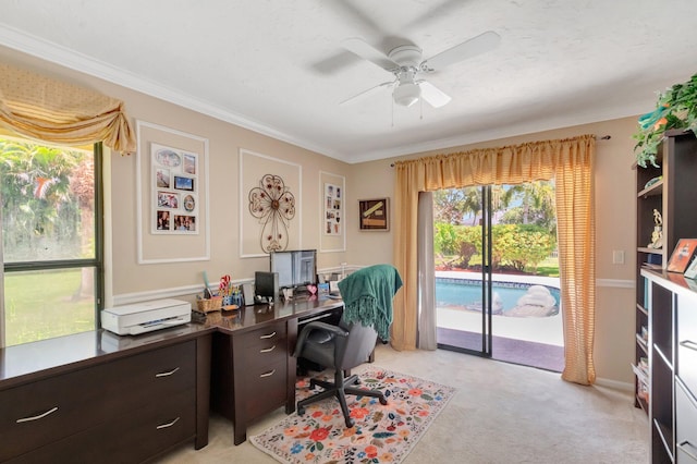 15385 Cedar Bluff Pl, Wellington, FL 33414 - office featuring ornamental molding, light carpet, and a ceiling fan