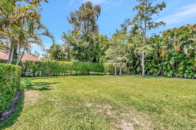 15385 Cedar Bluff Pl, Wellington, FL 33414 - view of green lawn