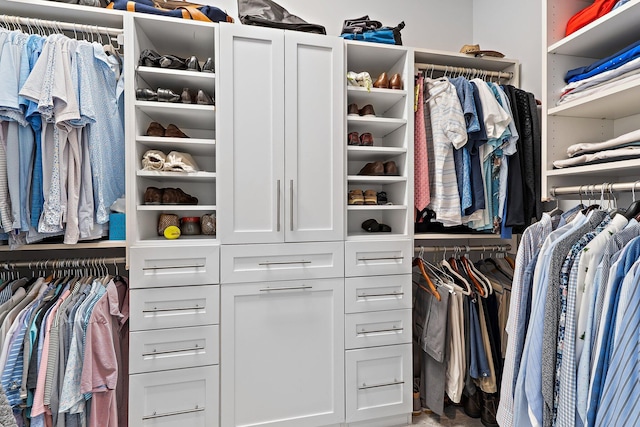 220 Carina Dr, Jupiter, FL 33478 - view of spacious closet