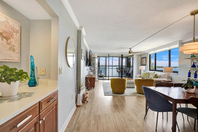2424 N Federal Hwy Unit 315, Boynton Beach, FL 33435 - dining area featuring light wood-style flooring, crown molding, baseboards, a textured ceiling, and ceiling fan