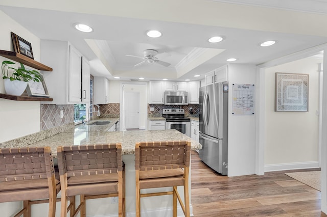 769 Berkeley St, Boca Raton, FL 33487 - kitchen featuring stainless steel appliances, a raised ceiling, a peninsula, open shelves, and ceiling fan