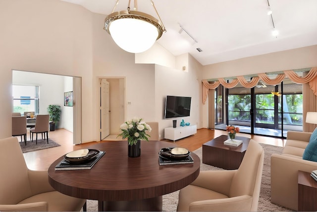 7644 Lexington Club Blvd Unit A, Delray Beach, FL 33446 - living area with track lighting, high vaulted ceiling, and wood finished floors