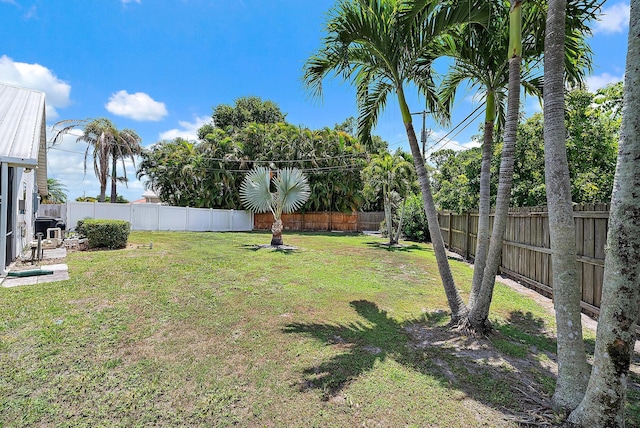 407 SE Duff Ct, Port Saint Lucie, FL 34984 - view of yard