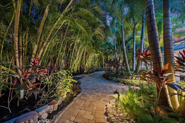 1770 Flagler Manor Cir, West Palm Beach, FL 33411 - view of patio