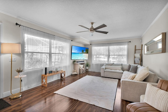 3110 Kingston Ct, West Palm Beach, FL 33409 - living room with ceiling fan, wood finished floors, a textured ceiling, ornamental molding, and baseboards