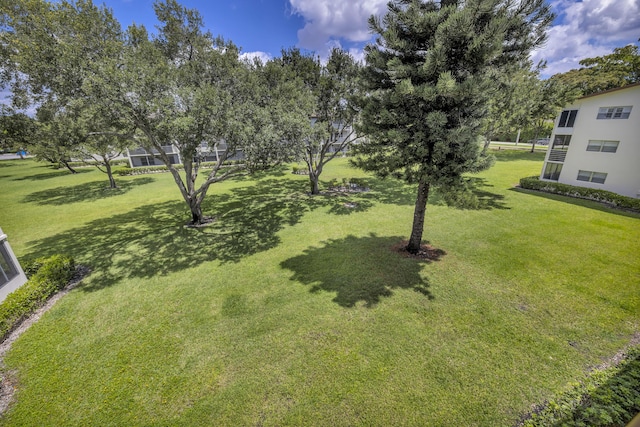 76 Mansfield B 76, Boca Raton, FL 33434 - view of grassy yard
