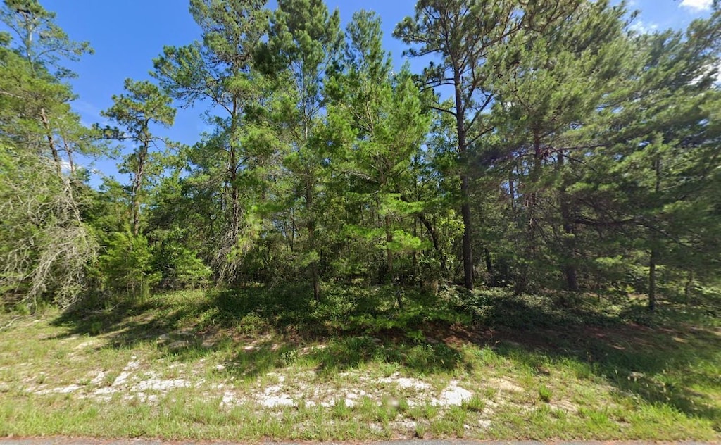 TBD SW 176th St, Marion Oaks, FL 34473