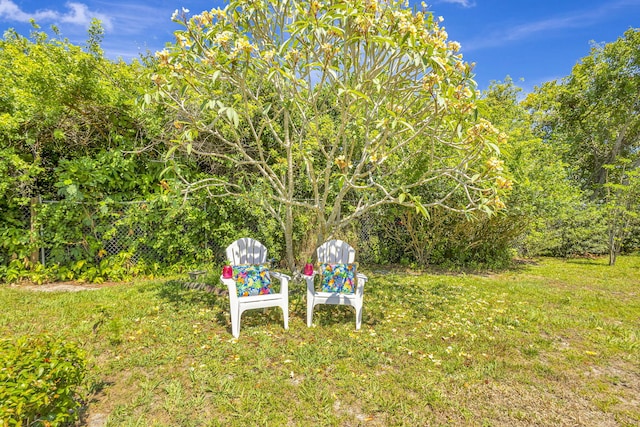102 SE Crosspoint Dr, Port Saint Lucie, FL 34983 - view of grassy yard