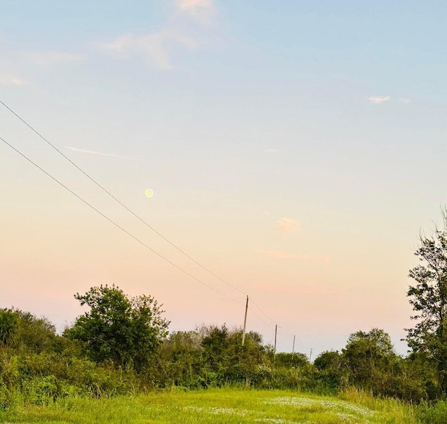 15255 NW 260th St, Okeechobee, FL 34972 - view of undeveloped land