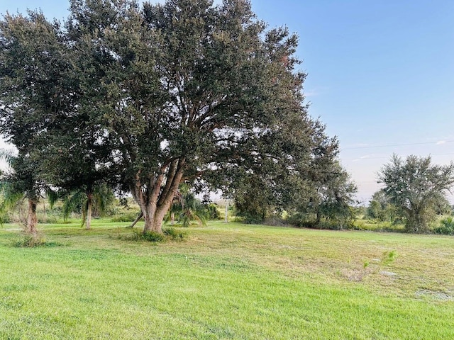 15255 NW 260th St, Okeechobee, FL 34972 - view of grassy yard