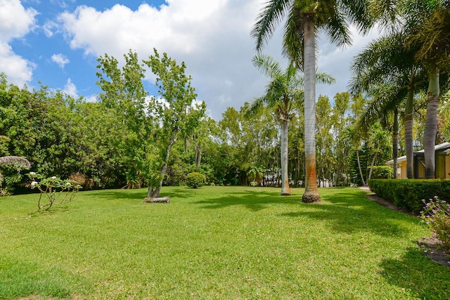 2610 SE Erickson Dr, Port Saint Lucie, FL 34984 - view of green lawn