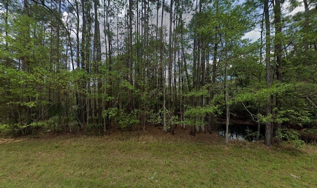 242 Lakeway Dr, Georgetown, FL 32139