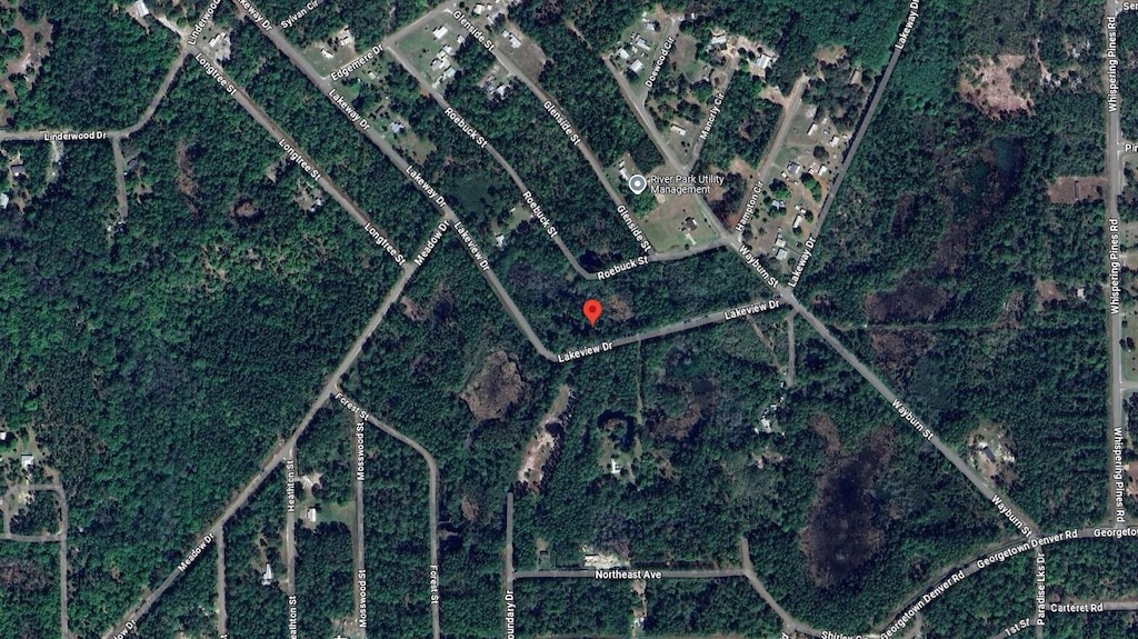 242 Lakeway Dr, Georgetown, FL 32139