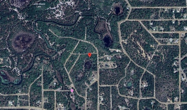 103 Clay Trl, Interlachen, FL 32148