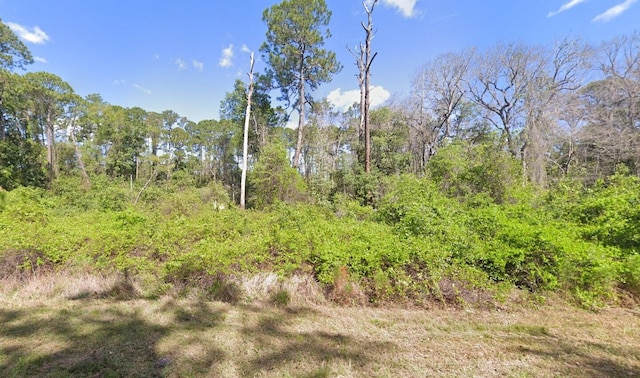 204 Hazel Ave, Georgetown, FL 32139