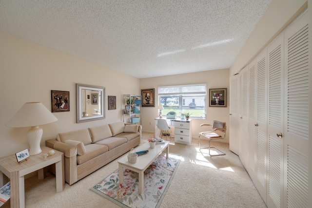 14240 Nesting Way Unit D, Delray Beach, FL 33484 - living area with carpet floors and a textured ceiling