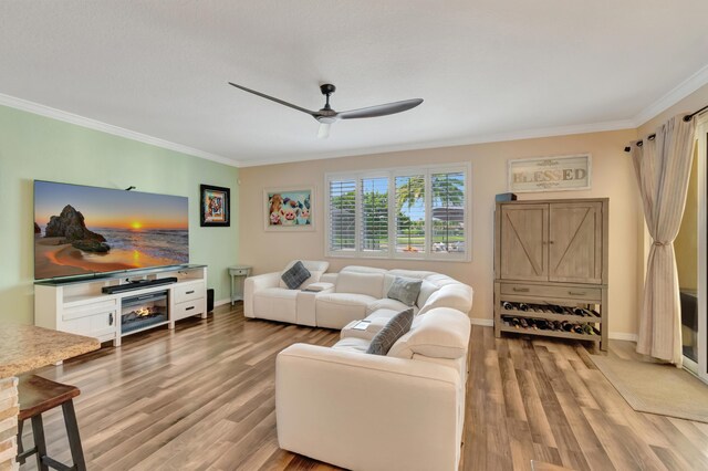 5014 Manchia Dr, Lake Worth, FL 33463 - living room featuring crown molding, a ceiling fan, light wood-style flooring, and baseboards