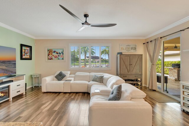 5014 Manchia Dr, Lake Worth, FL 33463 - living room featuring crown molding, a ceiling fan, light wood-type flooring, and baseboards